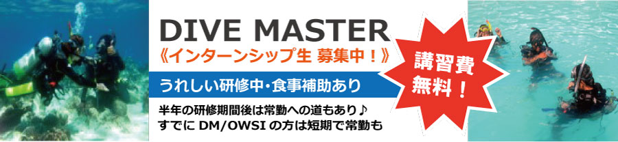 PADI �_�C�u�}�X�^�[ �Q�����C����W��!! �u�K���