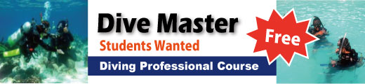 Dive Master Wanted