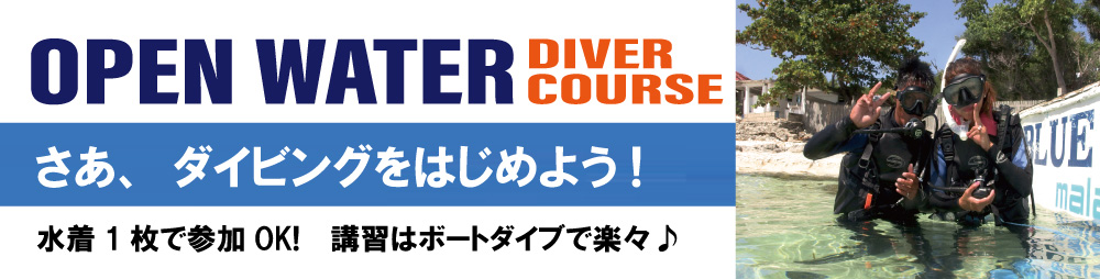 PADI �I�[�v���E�I�[�^�[�R�[�X�ł��Ȃ����_�C�r���O���͂��߂悤!