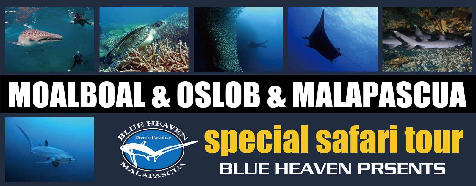 �I�X���u�̃W���x�C�A���A���{�A���̃C���V�ʁA�}���p�X�N�A�̃j�^�����܂��_�C�u�T�t�@���c�A�[