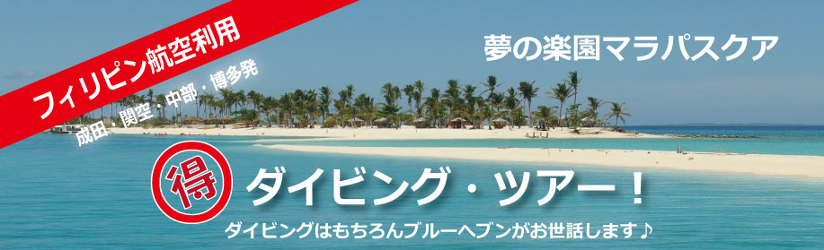 �t�B���s���q�󗘗p�E���c�A�֋�A�����A�������E�}���p�X�N�A�E�_�C�r���O�E�c�A�[�̎�z�����܂�������!