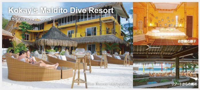 kokay's maldito image